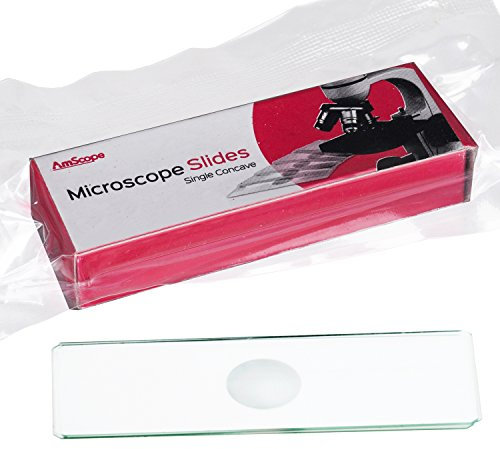 Amscope BS-C6 6-er Packung Objektträger aus Glas 6 Stück mit 0,5mm Vertiefung Durchmesser der Vertiefung 16mm geschliffeme Kanten Masse: 25mm x 75mm x 1mm