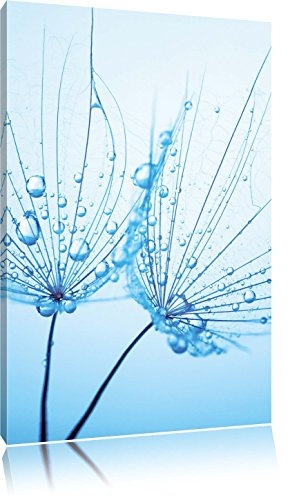 Pixxprint Pusteblumen mit Tautropfen, Größe: 100x70cm, Leinwandbild, fertig gespannt, Wandbild, Dekoration, Kunstdruck, kein Poster