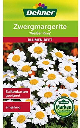 Dehner Blumen-Saatgut, Zwergmargerite Weißer Ring, 5er Pack (5 x 1 g)