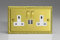 VARILIGHT Georgian Brass Classic Double Socket with 2 x 12W Shared USB A Charging Ports XG5U2SDW