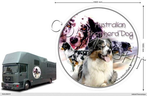 Circular Aufkleber Hund 180 Cm Australian Shepherd