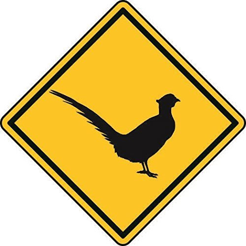 U24 Aufkleber Vorsicht Fasan Autoaufkleber Sticker