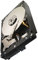 Seagate ST33000650NS Interne Festplatte 3TB (8,9 cm (3,5 Zoll), 7200rpm, 64MB Cache, SATA)