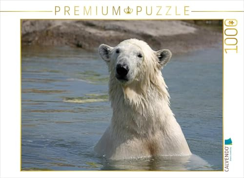 CALVENDO Puzzle Eisbär | 1000 Teile Lege-Größe 64 x 48 cm Foto-Puzzle für glückliche Stunden