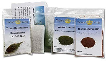 Triops Cancriformis Urzeitkrebse Starter Set Ultra mit ca. 150 Urzeitkrebs-Eiern / Zysten von Triops King aus Deutschland, Anleitung zur Zucht und Jungtier-Futter und viel Futter - Züchte jetzt deine eigenen Urzeitkrebse