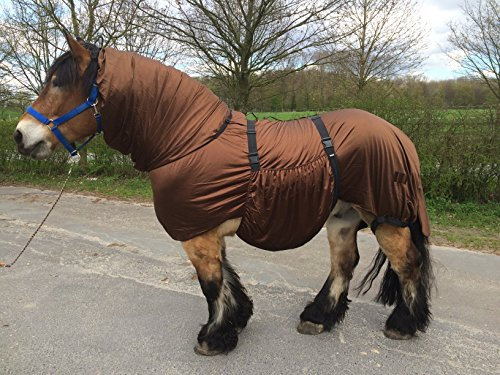 Hafer24 Ekzemerdecke braun für kräftige Pferde Barock, Friese, Hengsttyp Gr.135-175 (165)