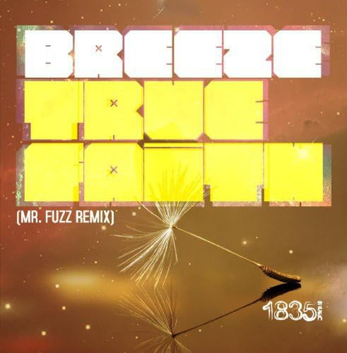 True Faith (MR Fuzz Remix)