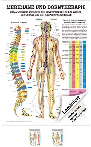 Rüdiger Meridiane u. Dorn Mini-Poster Anatomie 34x24 cm medizinische Lehrmittel