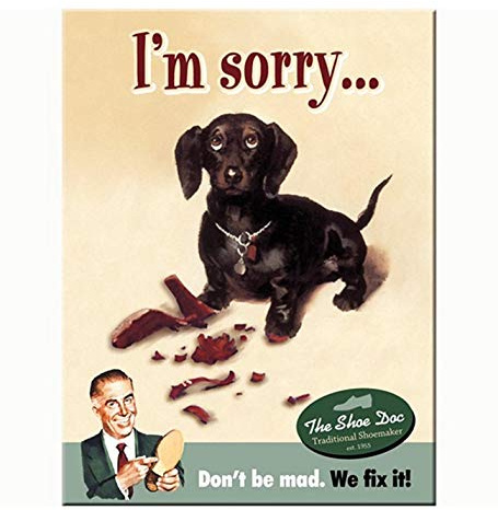 Nostalgic-Art 14274 Animal Club - I'm Sorry, Magnet 8x6 cm