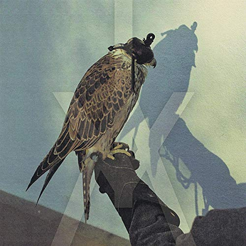 Matador/Beggars Group / Indigo