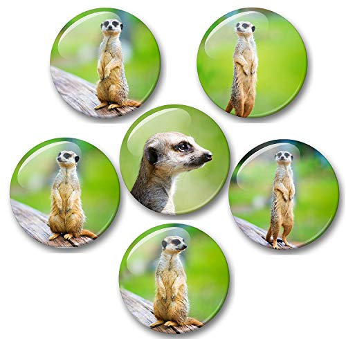 Merchandise for Fans Erdmännchen - 6 große Kühlschrankmagnete [ 01 ]