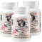 Athina® Oregano Öl 3 x 60 Kapseln I Softgels-Forte 500 mg I 100 mg pro Kapsel & 400 mg natives Olivenöl Extra aus Griechenland I 80% Carvacrol