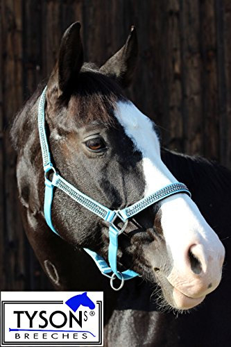 Tysons Breeches Glitzer Halfter Hellblau Minishetty Shetty Jährling Pony VB WB Bling Glitzerhalfter (Warmblut)