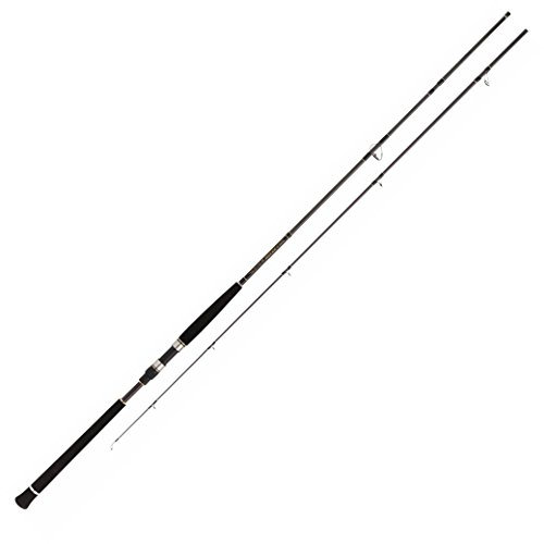 Pro marine Shore Jig Rounder 96 M Spinnrute Salzwasser Shore Jigs Modell