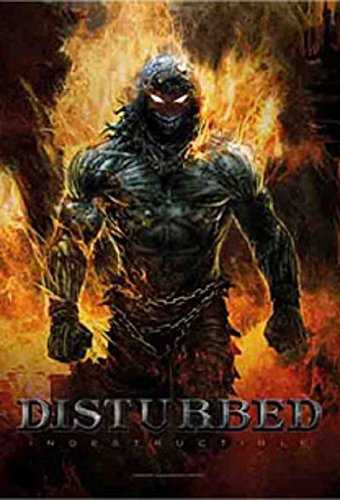 DISTURBED indestrubtible FLAGGE FAHNE POSTER FLAGGE