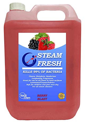 5L STEAM CLEANING DETERGENT SOLUTION CLEANER FLUID FOR ALL MACHINES BERRY FRESH