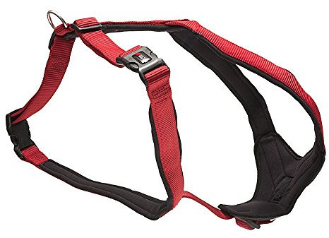 Wolters Cat&Dog Professional Comfort 62240 Geschirr Gr.4 60-70cm x 30mm rot/schwarz