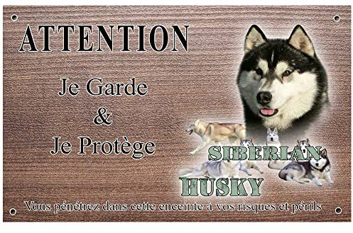 Panneau chien ou placa siberian-husky