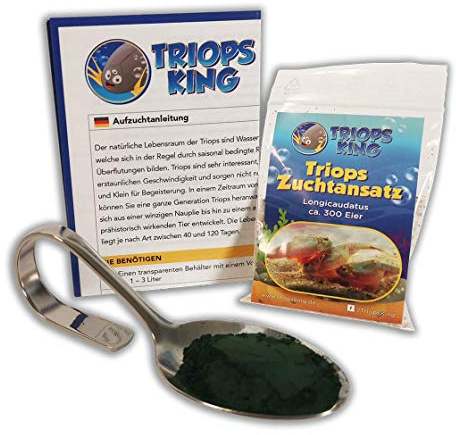 Triops Longicaudatus Urzeitkrebse Starter Set mit ca. 300 Urzeitkrebs-Eiern / Zysten von Triops King aus Deutschland, Anleitung zur Zucht und Jungtier-Futter - Züchte deine eigenen Urzeitkrebse bei dir zu Hause im Aquarium