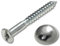 Chrome Capped Mirror Screws - 50mm (Pack of 4)