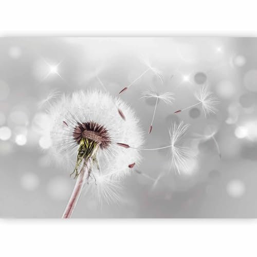 Fotomurales B&D XXL - Diente de leon 300x210 cm XXL Papel pintado tejido no tejido Decoración de Pared decorativos Murales moderna Diseno Fotográfico Flores Naturaleza b-C-0072-a-b
