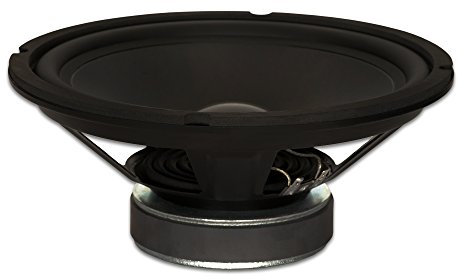 Goldwood Sound GW-1038 Rubber Surround 10 Woofer 250 Watts 8ohm Replacement Speaker
