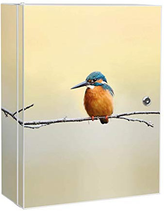 banjado® XXL Medizinschrank abschliessbar mit Motiv Pause 35x46x15cm - großer Arzneischrank/Medikamentenschrank aus Metall zur Medikamenten Aufbewahrung - Apothekerschrank mit 3 Schlüsseln