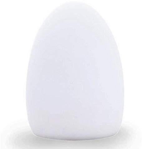 Lumisky Œuf lumineux sans fil LED blanc/multicolore dimmable EASY H23cm avec télécommande et socle à induction