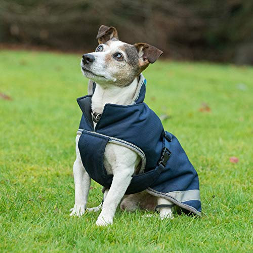 Bucas Freedom Dog Blanket Hundemantel 300g (Navy, 30)