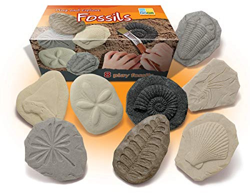 Yellow Door Let's Investigate – Fossils | Early educational learning |STEM| fossil dig for kids age 2,3,4,5 | dinosaur fossils |excavation set | Outdoor science toys |ammonite, trilobite | Messy play