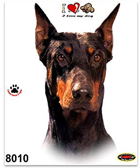 4R Quattroerre.it 8010 Sticker Aufkleber Hund Dobermann, 13.5 x 16 cm