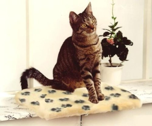 Silvio Design Katzen-Fensterliege Jacquard Plüsch beige mit Pfote braun
