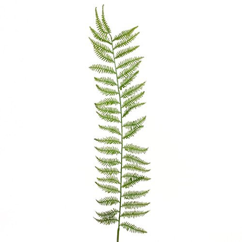 Unbekannt Künstlicher FARNZWEIG 100 cm. Kunst- Farn- Trieb, Zweig in grün.