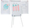 FRANKEN Flipchart, Beschreibbar, Magnetisch, Mit 2 Seitenarmen, Dreibeinstativ, 68 x 105 cm, Höhenverstellbar, inkl. Papierhalterung und Stifteablage, ECO Standard, F2100/N