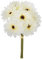 Générique ATM-124137 Blumenstrauß mit 7 Gerbera, 26 cm, Kupfer, Mehrfarbig, Único