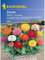 Zinnia elegans Zinnie Musica Mischung