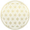 Blume des Lebens - IN - Geometrie - Wandtattoo Wandaufkleber Sticker Aufkleber (50 (B) x 50 (H) cm, Gold)