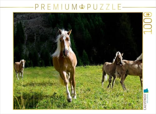 CALVENDO Puzzle Haflinger auf der Weide | 1000 Teile Lege-Größe 64 x 48 cm Foto-Puzzle für glückliche Stunden