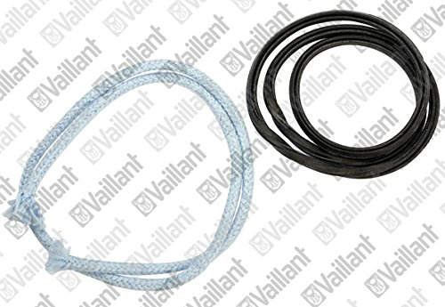 Vaillant
