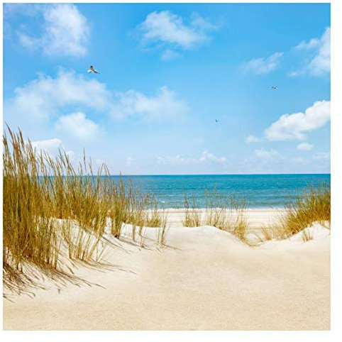 Bilderwelten Strand Fototapete 3D inkl. Kleister 288x288cm - Vliestapete Made in Germany - Fototapete Meer Schlafzimmer - Nordsee Strand Tapete maritim - Tapete Meerblick Wohnzimmer Bad T_2402