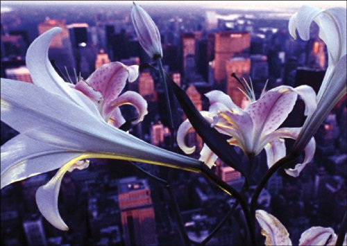 Kartenkaufrausch Fotokunst Blumen Klappkarte: weiße Lilien über New York • auch zum direkt Versenden mit Einleger • schöne Klappkarte mit Umschlag als Klappkarte