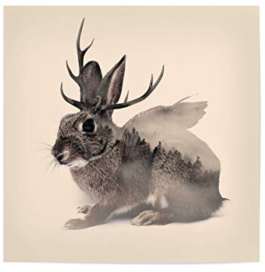 artboxONE Poster 30x30 cm Natur Wolpertinger hochwertiger Design Kunstdruck - Bild Hase doppelte aussetzung Fabel