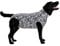 MPS Medical Pet Shirt Hund, Zebra Print, XL