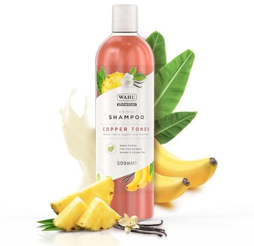 WAHL Showman Kupfer Töne Shampoo - 500 ml - Clear, Unisex, WHL0100