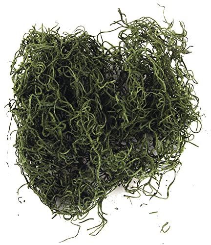 Rayher 8501029 Dschungelmoos, SB-Btl. 20 g, grün