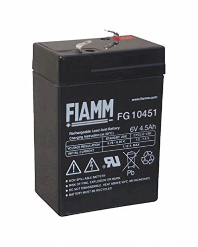 Fiamm Batterie Compatible avec batterie d'Sportsman 400 Smoby Diamec Accu Peg Perego Polaris 6 V 4500 mAh