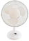 TheBigShip® 9 Inch Oscillating Desk Fan - Colour White