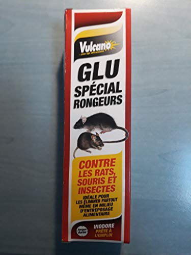 Colle contre les rats et les souris
