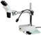 AmScope SE400 Professionelles Binokulares Stereomikroskop, WF10X-Okulare, 1X-Objektiv, LED-Beleuchtung, Boom-Arm-Ständer, 110V-120V, 10X, 24 x 24 x 8