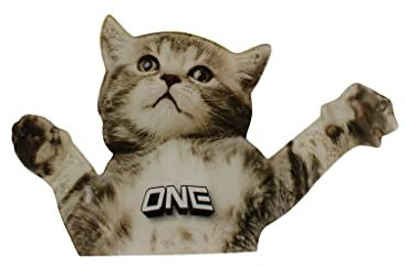 Stomp Pad oneballjay Fyling Cat 6x4